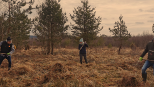 Une initiative belge anti-Black Friday qui fait du bien à la nature