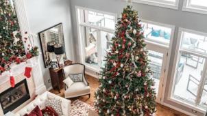 Quand installer son sapin de Noël pour qu'il ne perde pas toutes ses épines ?